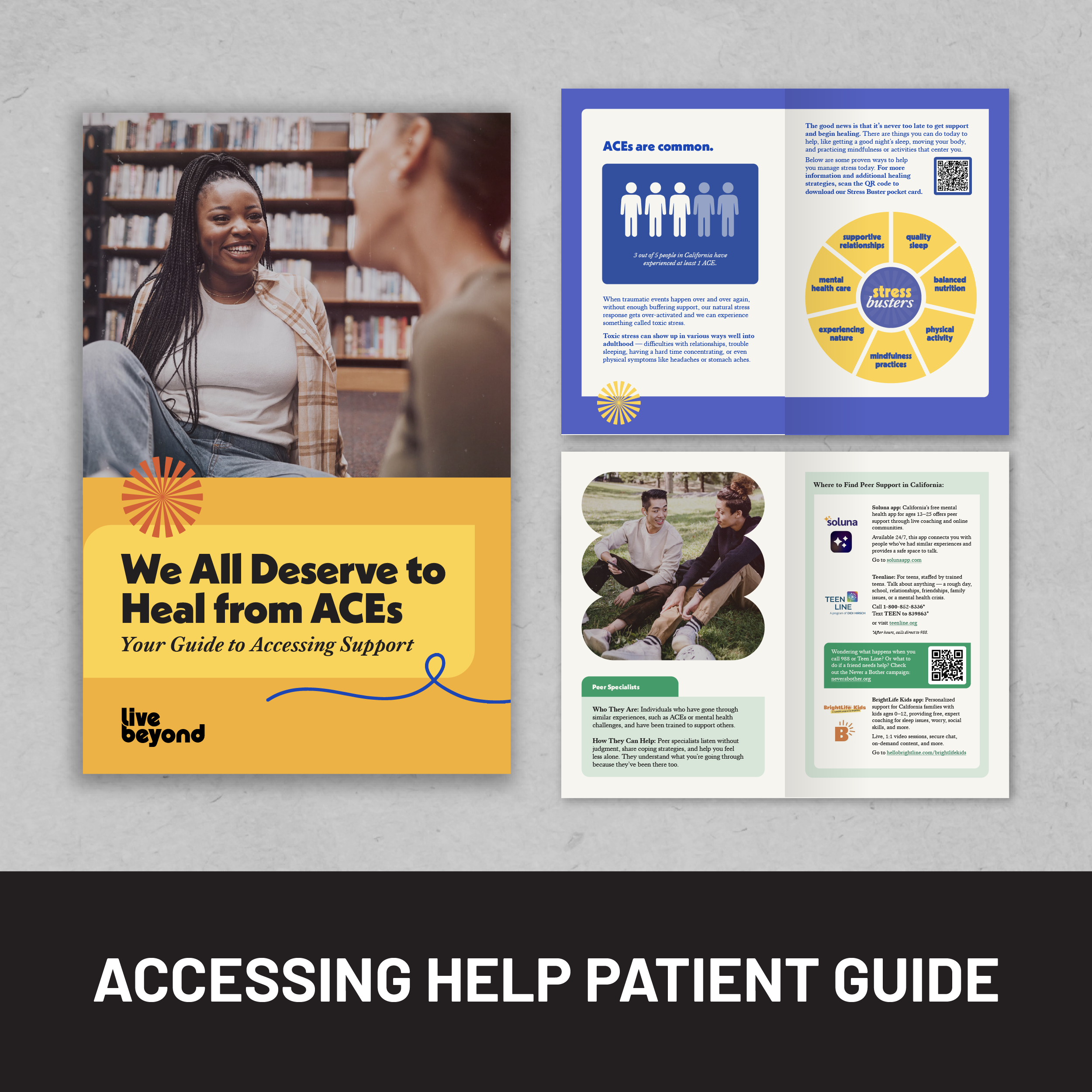 Accessing Help Patient Guide - English