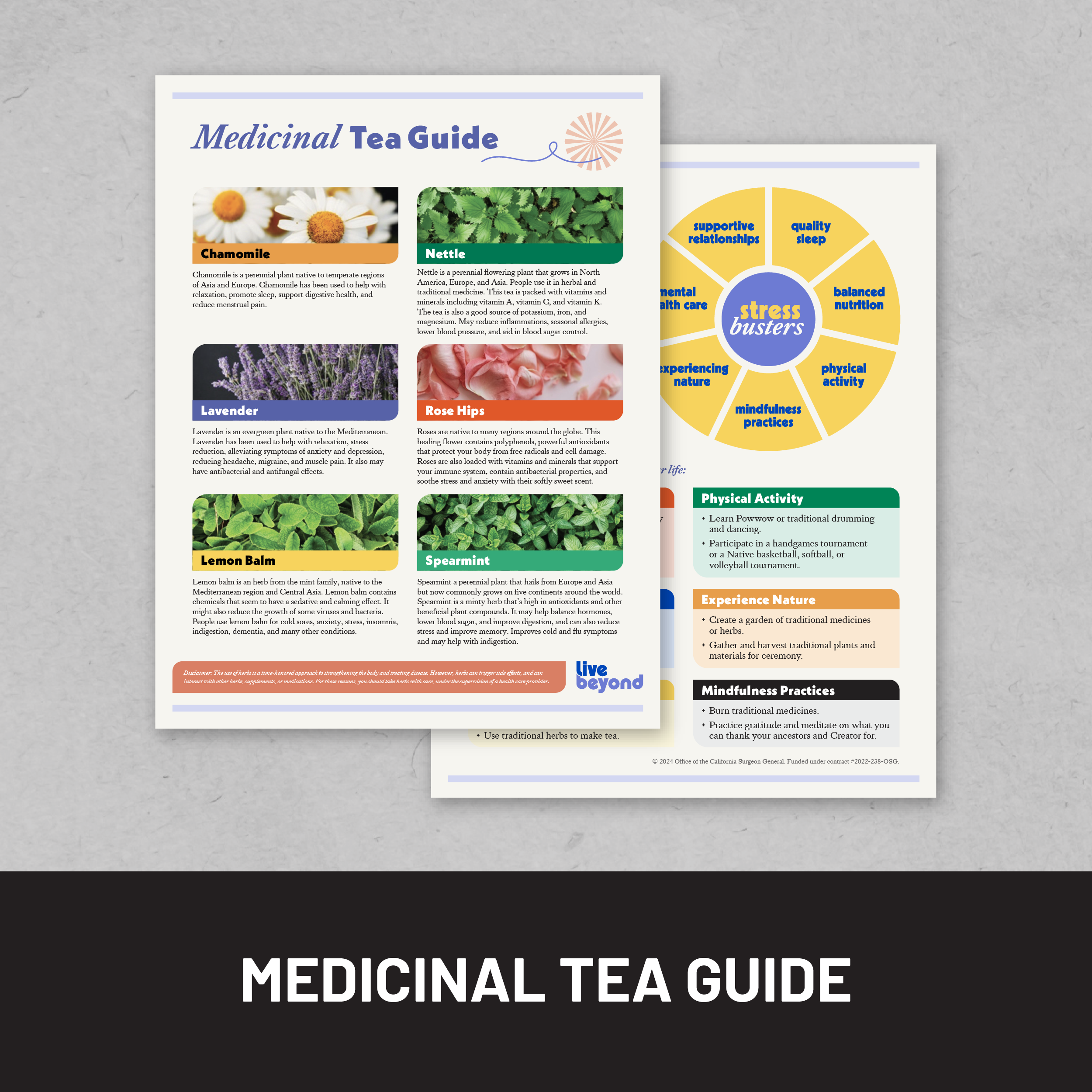 Medicinal Tea Guide
