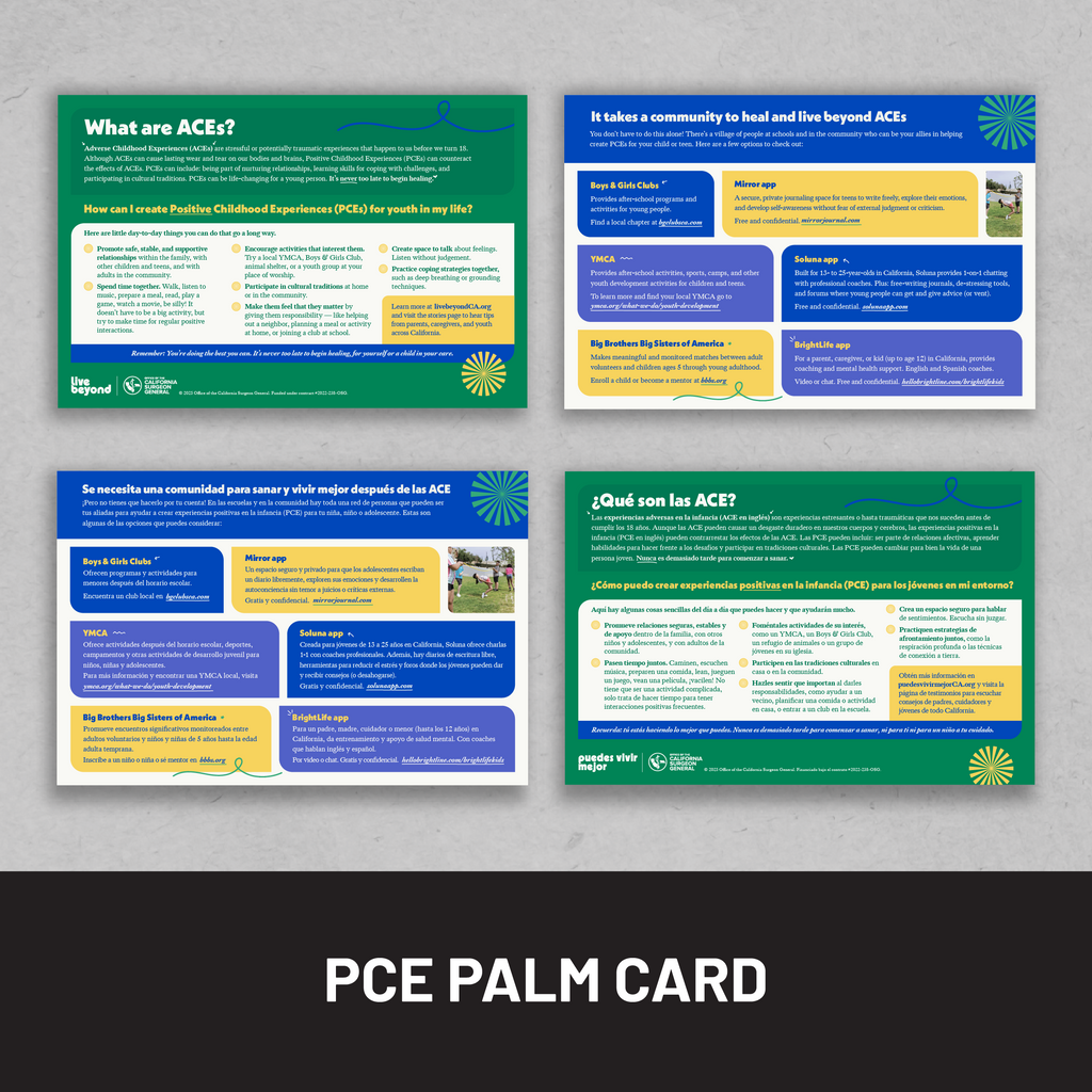 PCE Palm Card