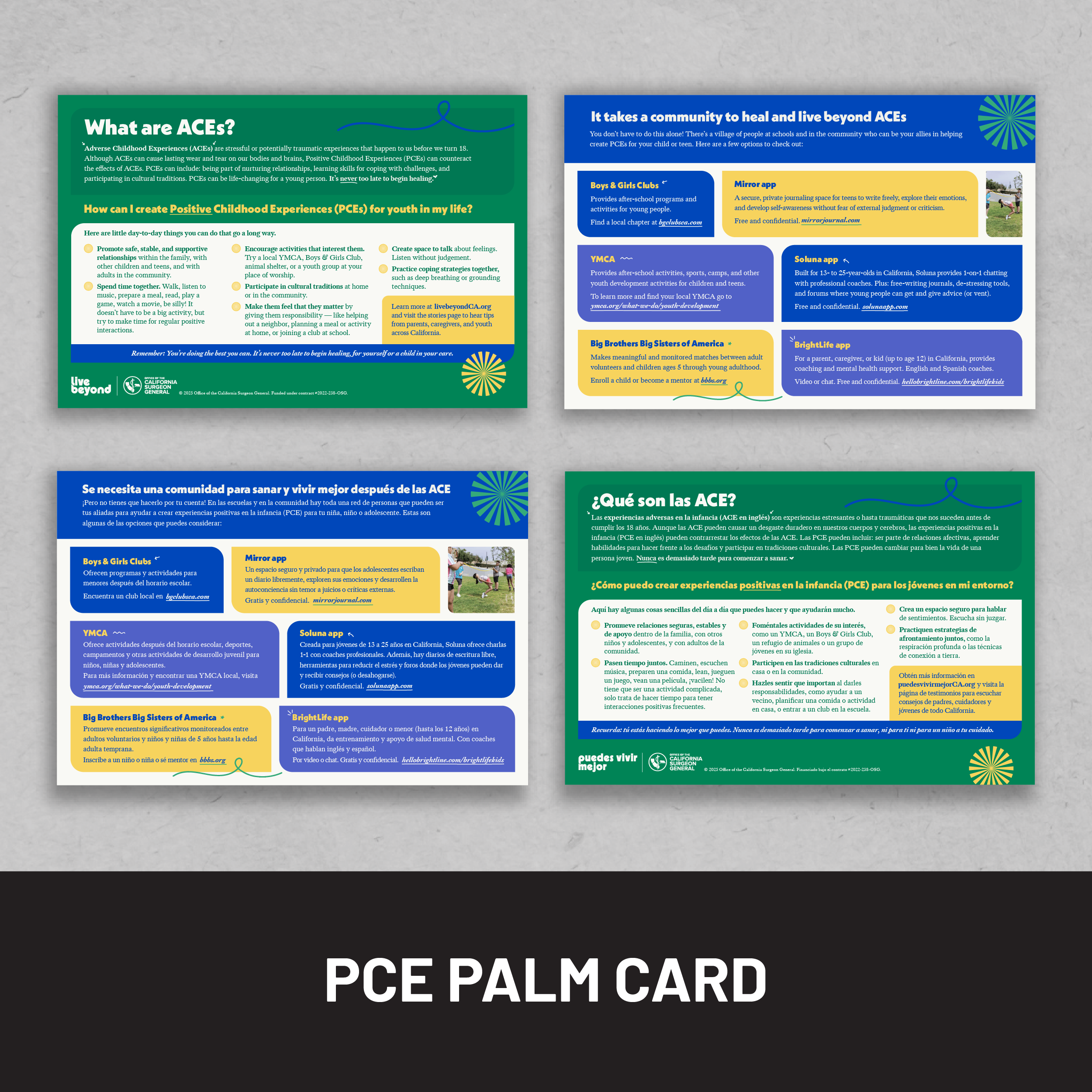 PCE Palm Card
